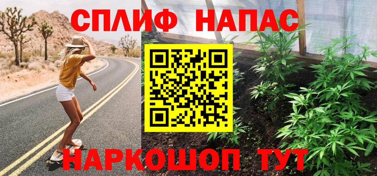 Каннабис сатива Феодосия